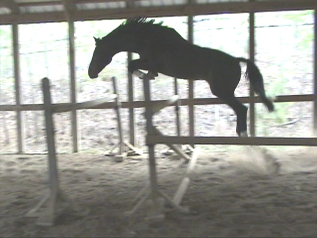 Slide 4