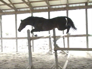 corcofrjump320b (54K)