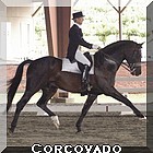 Link to Corcovado