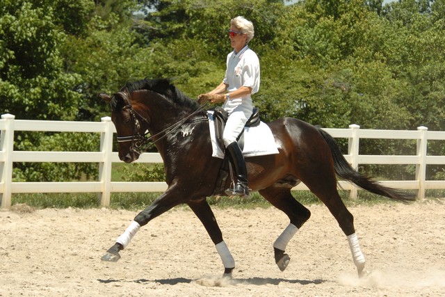 Corcovado extended trot (143K)