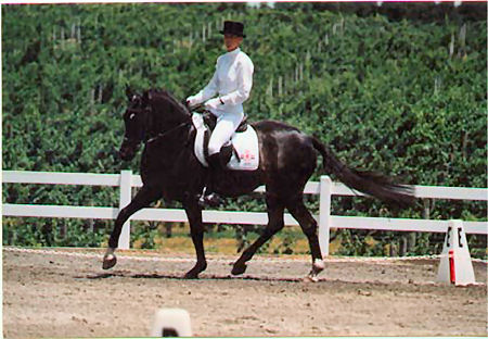 Minerva trot