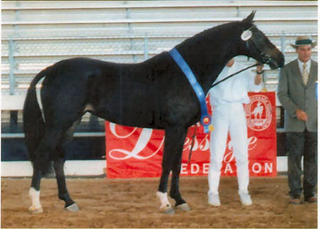 Minerva standing