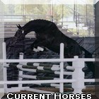 Link to Current Horses